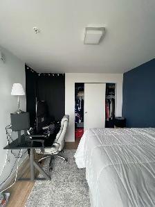 1-Bedroom Apartment - Available November 1st - Photo 8