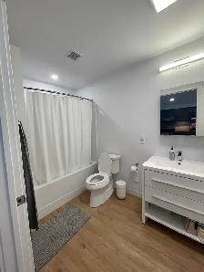 1-Bedroom Apartment - Available November 1st - Photo 9