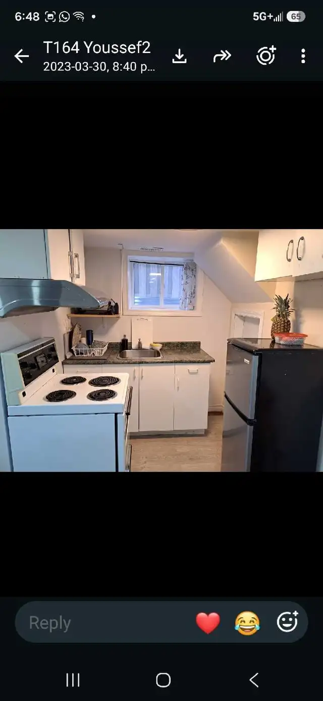 apartment for rent from November 01