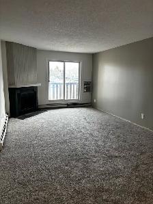 Newly renovated 2 bedroom condo