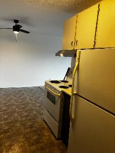 Newly renovated 2 bedroom condo - Photo 3