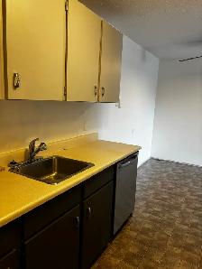 Newly renovated 2 bedroom condo - Photo 4