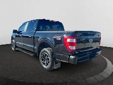 2023 Ford F-150 XL SuperCrew EcoBoost™ - Photo 3
