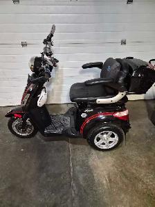 2024 Daymak Roadstar Deluxe