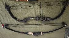 bow and arrow - Photo 2