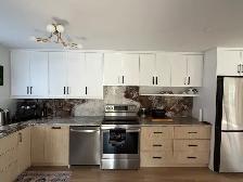 Don't Tear Out Good Cabinets! Eco-Friendly Kitchen Refacing - Photo 5