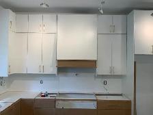 Don't Tear Out Good Cabinets! Eco-Friendly Kitchen Refacing - Photo 9