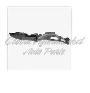 Mazda Mpv 2002-2003 Fender Liner Without Side Left and Right - Photo 2