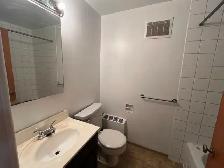 Beltline connaught   2 bedroom apart $1370/m elect - Photo 4