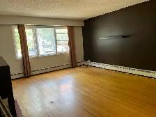 Beltline connaught   2 bedroom apart $1370/m elect - Photo 8