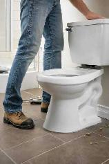 Toilets & Handeheld Bidets Installed Sale
