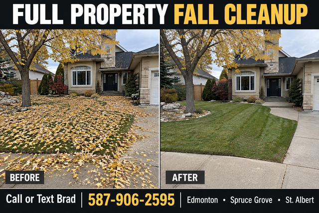 Full Property Fall Cleanup   JUNK REMOVAL