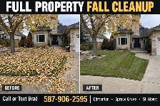 Full Property Fall Cleanup   JUNK REMOVAL