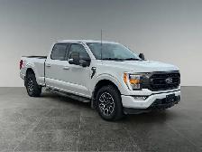 2023 Ford F-150 XLT - Photo 9
