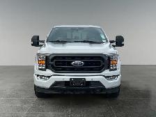 2023 Ford F-150 XLT - Photo 10