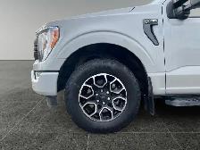 2023 Ford F-150 XLT - Photo 11