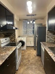 2 Bedroom 1.5 Bath Apartment for Rent - $1900/Month - Photo 8