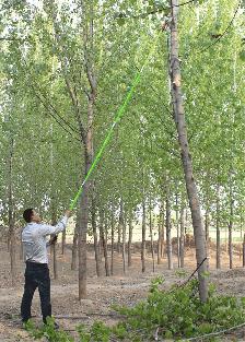 26 Foot Length Tree Pole Pruner Tree Saw 211071 - Photo 3