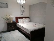Quiet 2 bedrooms 1 bathroom Richmond Hill - Photo 6