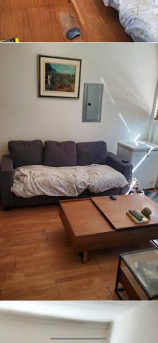 MAGOG: Logements abordables lofts, 1 1/2, 2 1/2, 3 1/2 et 4 1/2 - Photo 3