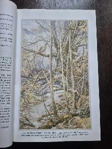 Livre a vendre - Photo 6