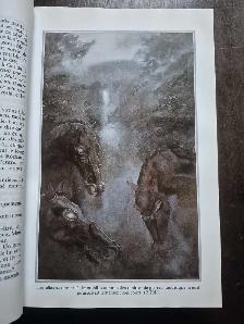 Livre a vendre - Photo 9