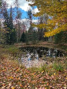 Maison a louer,  Campagne et tranquillité - Photo 21