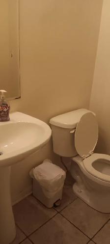 House forceent near Toronto Pearson Airport - Photo 4