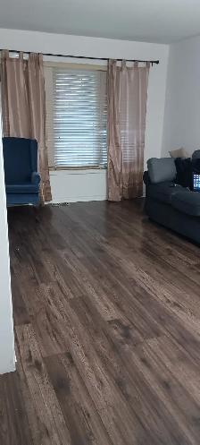 House forceent near Toronto Pearson Airport - Photo 6