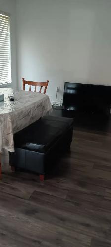 House forceent near Toronto Pearson Airport - Photo 7