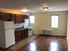 1 Bedroom - 1124 Main St W - Photo 3