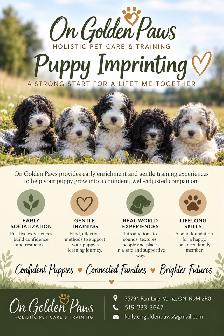 Puppy  Imprinting Training