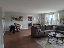 Large 1 bdrm plus den in Cole Harbour - Photo 2