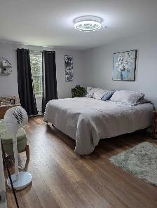 Large 1 bdrm plus den in Cole Harbour - Photo 3