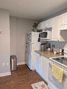 Large 1 bdrm plus den in Cole Harbour - Photo 7