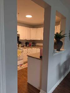 Large 1 bdrm plus den in Cole Harbour - Photo 8