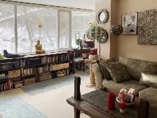 Beautiful Lge Room, Private Bthrm, Nov 1, For a Male,  Downtown