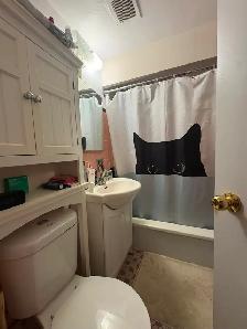 Beautiful Lge Room, Private Bthrm, Nov 1, For a Male,  Downtown - Photo 5