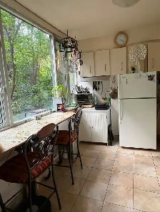 Beautiful Lge Room, Private Bthrm, Nov 1, For a Male,  Downtown - Photo 6
