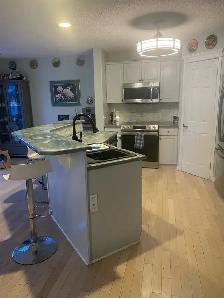 Spacious Extra Large Room for Rent - Photo 10