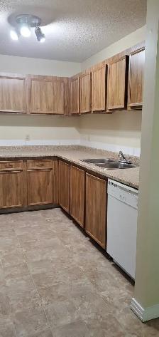 Three bedroom apartment for rent at 2511-109 Street - Photo 2