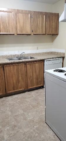 Three bedroom apartment for rent at 2511-109 Street - Photo 5