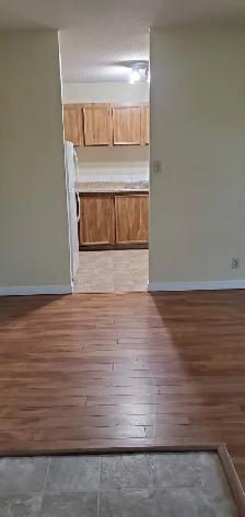 Three bedroom apartment for rent at 2511-109 Street - Photo 8