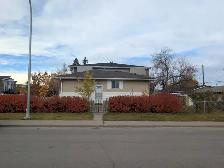 Cozy 1 bed, 1 bath basement suit