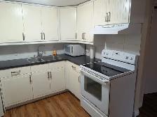 Cozy 1 bed, 1 bath basement suit - Photo 11