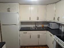 Cozy 1 bed, 1 bath basement suit - Photo 12