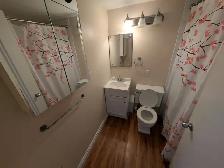 Cozy 1 bed, 1 bath basement suit - Photo 16