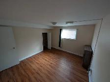 Cozy 1 bed, 1 bath basement suit - Photo 19