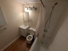 Cozy 1 bed, 1 bath basement suit - Photo 26