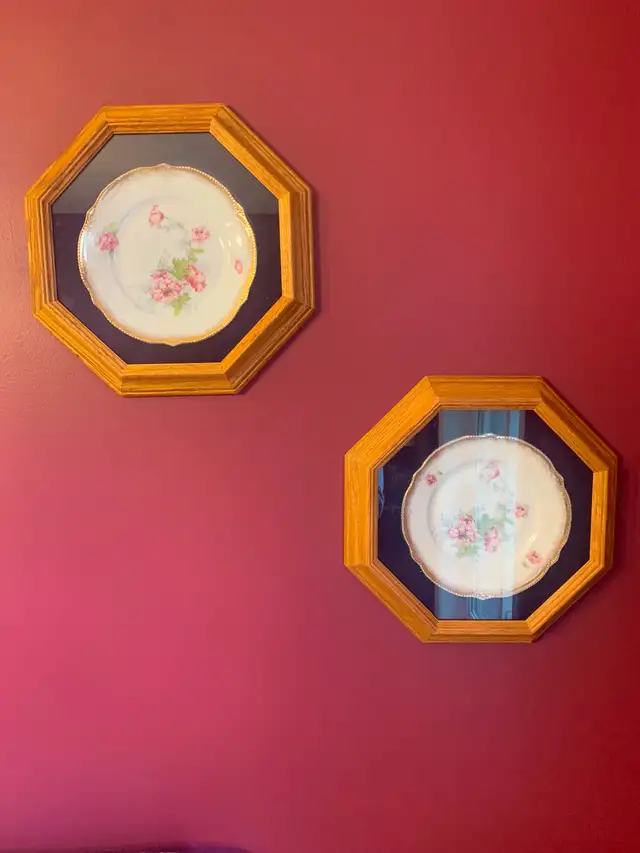 FRAMED FLOWERED PLATES